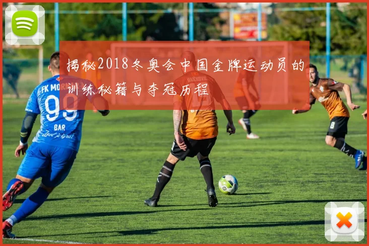 揭秘2018冬奥会中国金牌运动员的训练秘籍与夺冠历程