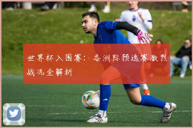 世界杯入围赛:各洲际预选赛激烈战况全解析
