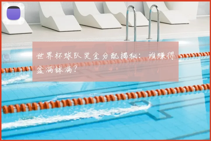 世界杯球队奖金分配揭秘：谁赚得盆满钵满？