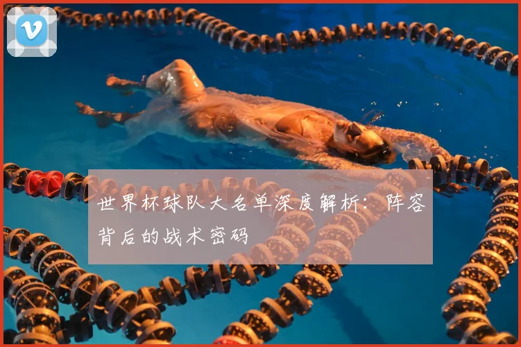 世界杯球队大名单深度解析：阵容背后的战术密码