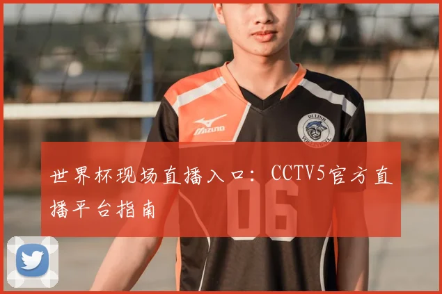 世界杯现场直播入口:CCTV5官方直播平台指南