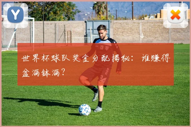 世界杯球队奖金分配揭秘：谁赚得盆满钵满？