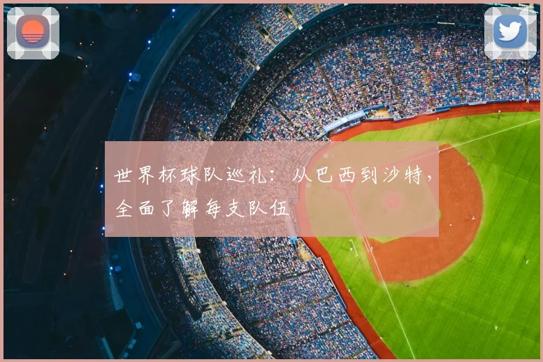 世界杯球队巡礼：从巴西到沙特，全面了解每支队伍