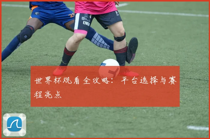 世界杯观看全攻略：平台选择与赛程亮点