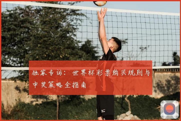 独家专访:世界杯彩票购买规则与中奖策略全指南