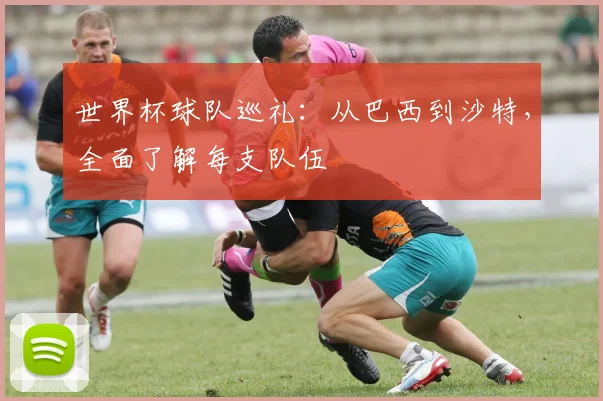 世界杯球队巡礼：从巴西到沙特，全面了解每支队伍