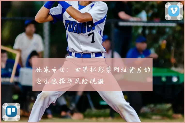 独家专访：世界杯彩票网址背后的合法选择与风险规避