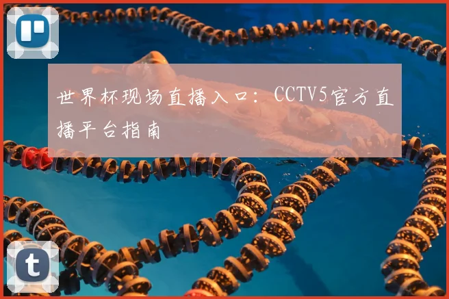 世界杯现场直播入口:CCTV5官方直播平台指南