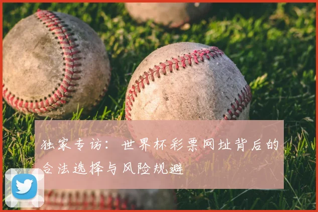独家专访：世界杯彩票网址背后的合法选择与风险规避