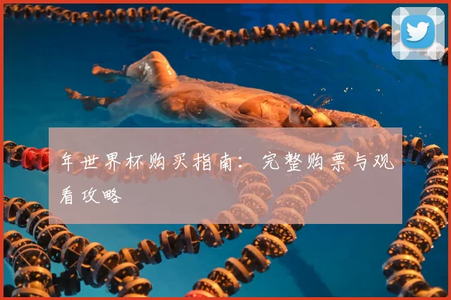 年世界杯购买指南:完整购票与观看攻略