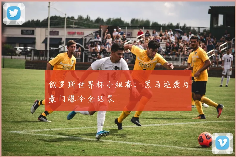 俄罗斯世界杯小组赛：黑马逆袭与豪门爆冷全记录