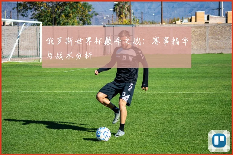 俄罗斯世界杯巅峰之战：赛事精华与战术分析